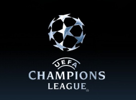 他们引进的 他们引进的